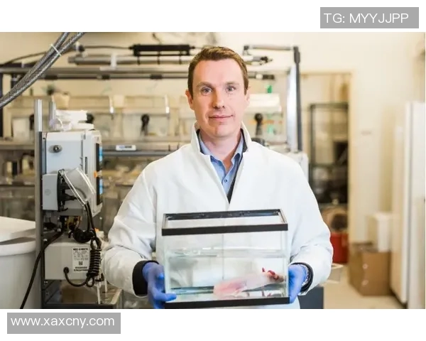 电竞热议CSGOJDG个人能力的变革与未来发展探讨